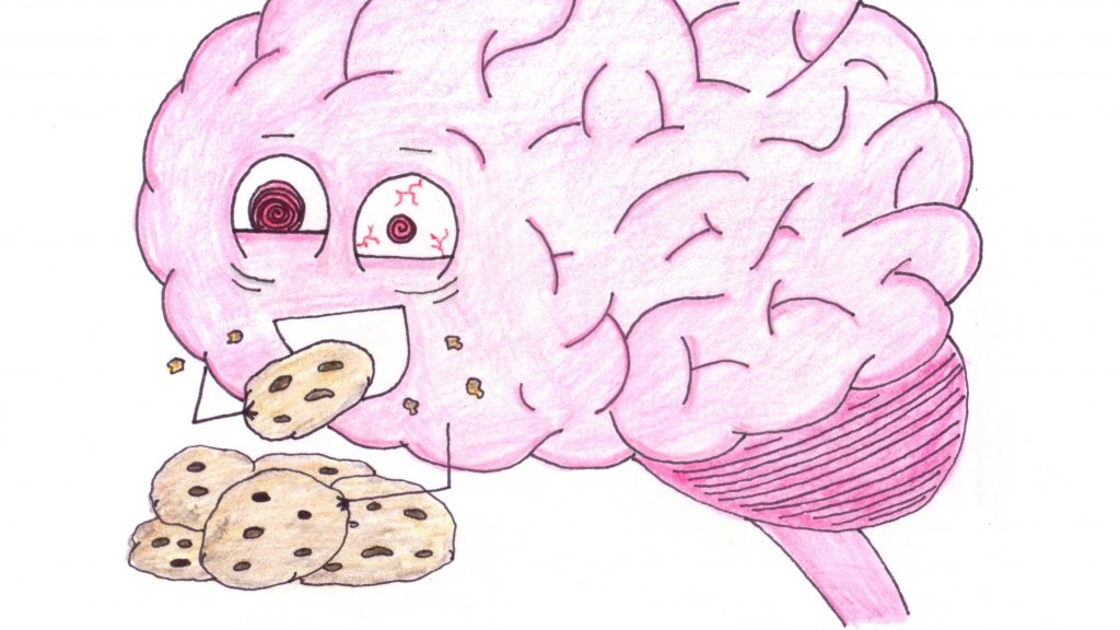 Brain 84. Лампочка мозг. Загадки Brain snack. Мозг потребляет энергию.